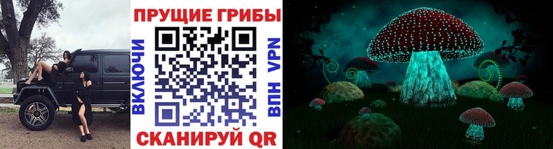купить наркоту  Фролово  Псилоцибиновые грибы мухоморы 
